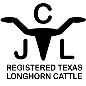 Circle J Longhorns logo